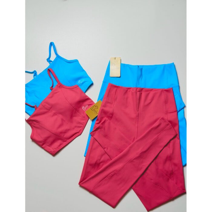 Tayla - CONJUNTO FITNESS FEMININO  TOP + LEGGING- POLIAMIDA MAX ZERO TRANSPARÊNCIA - ALTA COMPRESSÃO